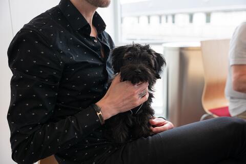 Billie, the company dog :-)